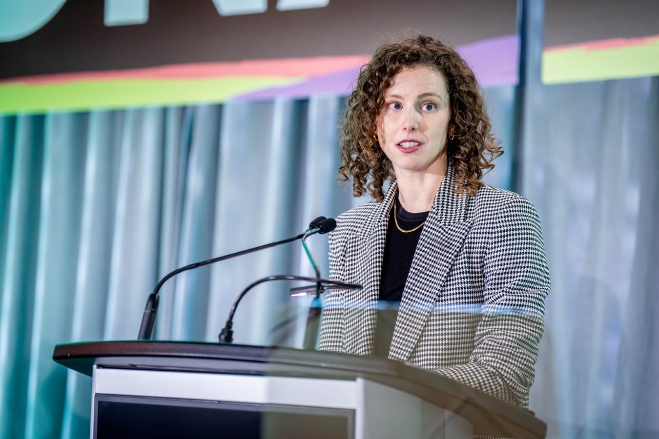 LEAP Team Legal Counsel Adrienne Anderson at podium of large meeting addresses delegates.