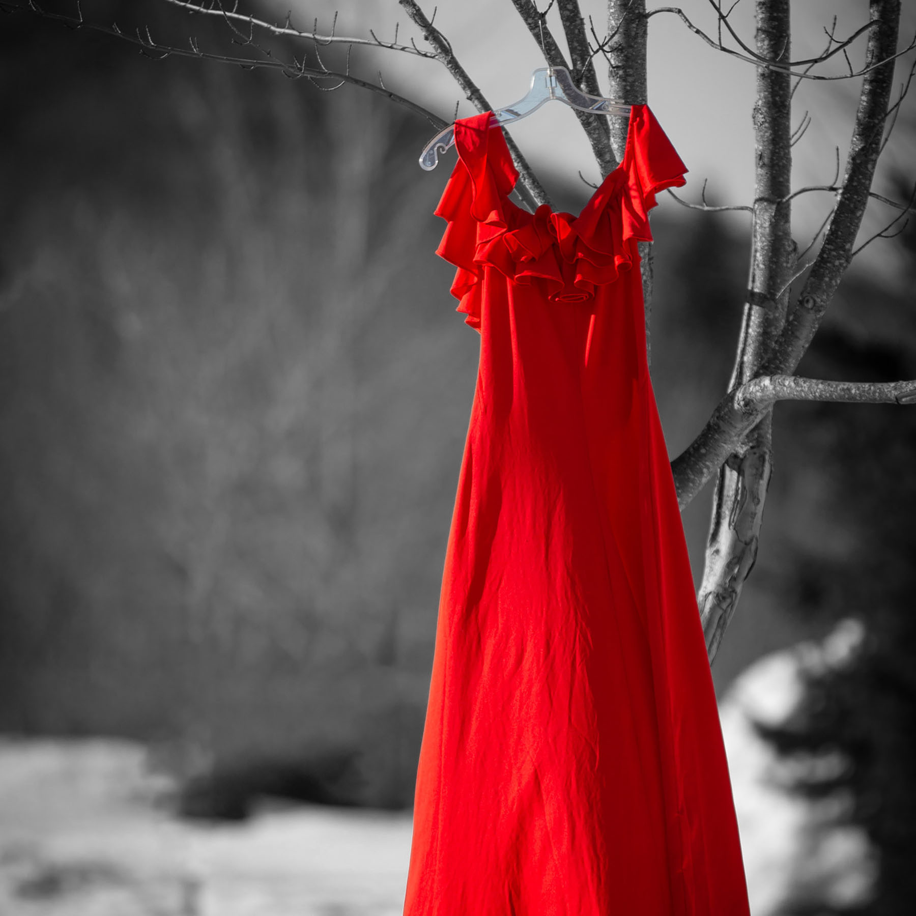 Red dress on a hanger, suspended from a tree branch.