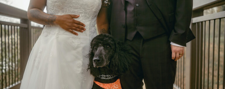 ONA member Danielle Gibbs Koenitzer, RN, poses with her new husband and dog on her wedding day.