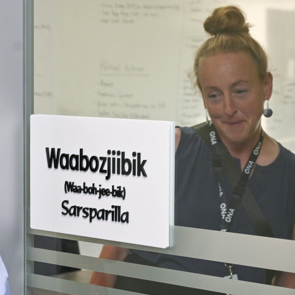 Woman looks at a plaque reading, “Waabozjiibik (Sparsparilla).”