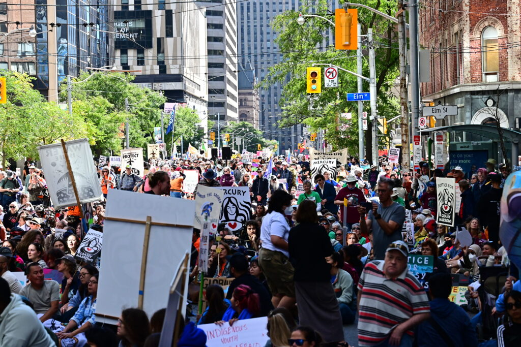 Long shot of the enormous crowd on the street.